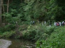 S7303193-57bc793bb448c