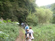 S7303206-57bc79fa0890d