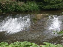 S7303209-57bc7a59c343e