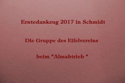 Erntedankzug_2017_1_