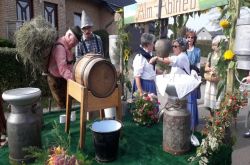 Erntedankzug_2017_4_