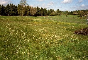  Naturschutz- und Landschaftspflege