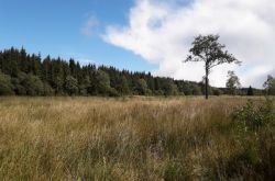 Wanderwoche_14.09.17_18