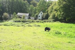 Wanderwoche_15.09.17_10