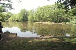 Radtour_Maas-_Rur_018