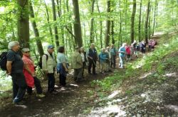 Sternwallfahrt_2018_3