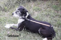 Eifelkrimi_Wanderweg_107