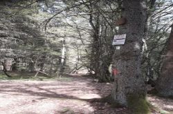 Krimiwanderweg_2_Etappe_005