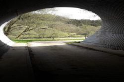 Krimiwanderweg_2_Etappe_010