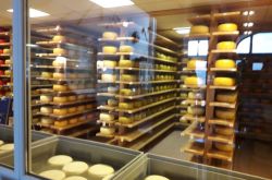 Zum_Genuß_zu_Fuß_204