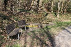 1-IMG_0025-9609_-_Mit_text